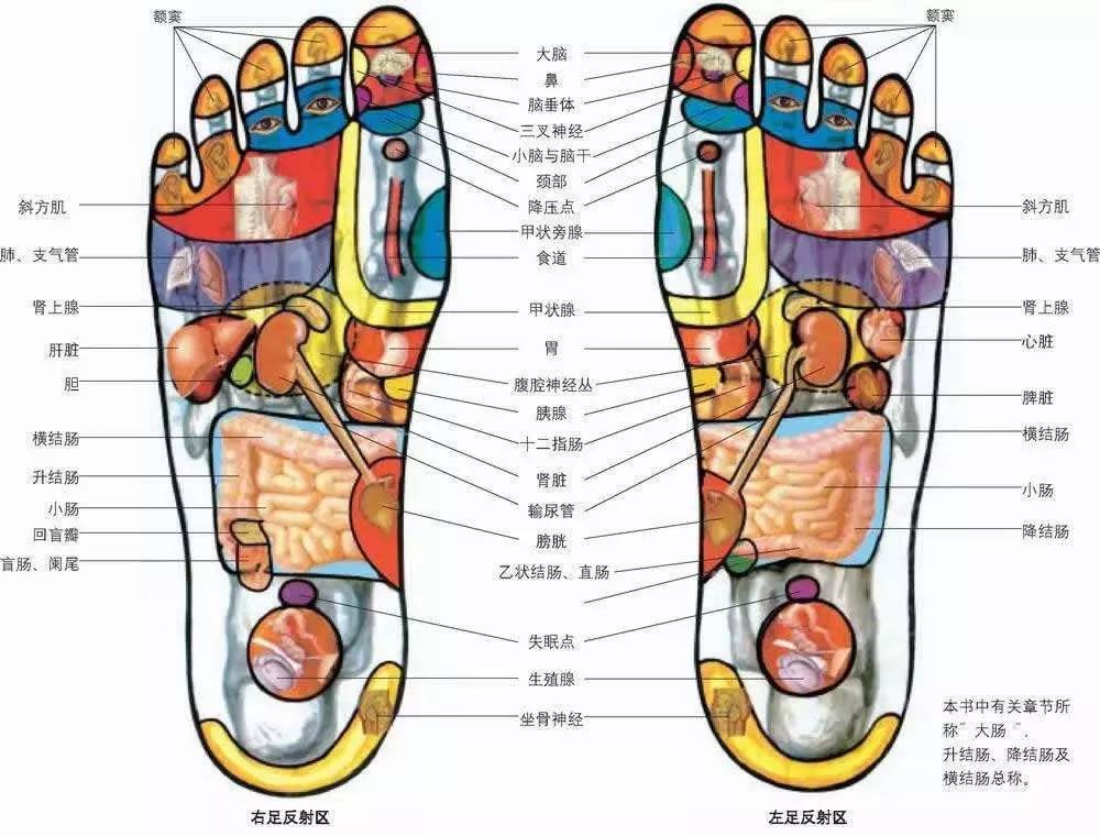 舒適度高
